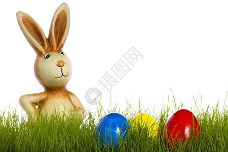 青草后面的东兔和西鸡蛋后面的东兔子白色背景的东鸡蛋后面兔子紫色绿传统图片