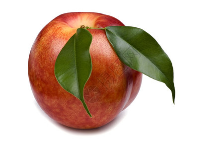 水果qxwhiteqx背景白色食物桃子关闭多汁的成熟图片