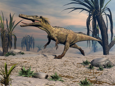 日落前在沙漠中行走的食虫恐龙通过日落3D使食虫恐龙步行3D数字的经过咆哮图片