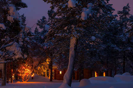 自然在冬季树林的夜晚许多雪房子有灯光和加兰在树上的冬夜之在森林房子和加兰季节黑暗的图片