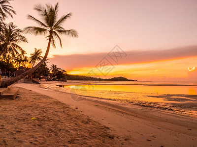 宁静美丽的热带海滩和洋日出时椰子棕榈树用于旅行和度假黄昏轮廓图片
