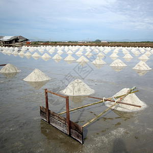 香料水日落盐养殖场的传统农作工具图片