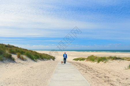 男人在荷兰岛Terschelling海滩上走狗荷兰语地平线瓦登图片