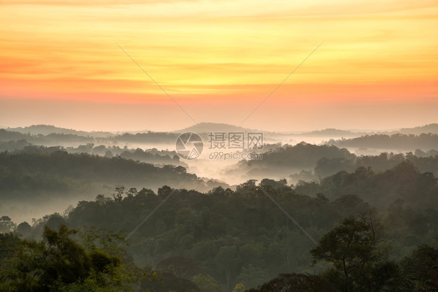 山地风林白雾和橙色云彩中的美丽日出森林落户外图片