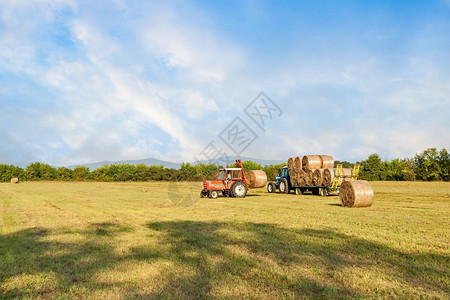 季节农民收成拖拉机在野外收集干草篮子和装上农车图片