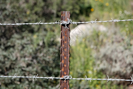 植被衬套金属丝生锈钢柱上两连串刺铁丝网栅栏图片