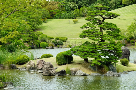 园艺日本花带湖泊和瀑布的日本花园池塘户外图片