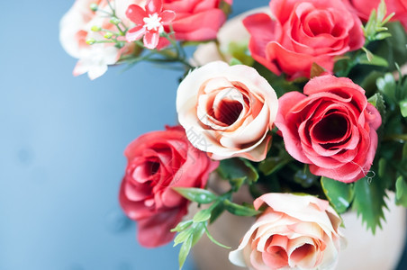 花店在锅中美丽的玫瑰装饰风格植物图片
