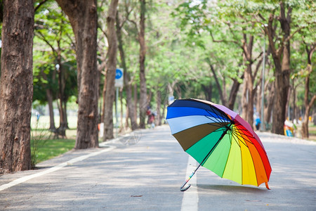 公路上的彩虹伞图片