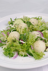 晚餐阿鲁古拉沙加黄瓜和蛋莴苣素食主义者图片