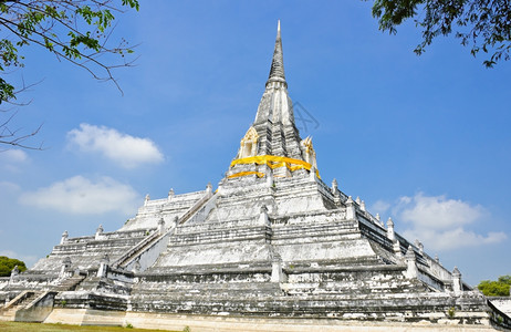 泰国白色塔的巨集人树图片