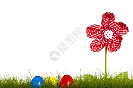 复活节红色的以青草为原料东鸡蛋用花朵为华丽的向风鸡蛋用白底彩花为朵假期图片