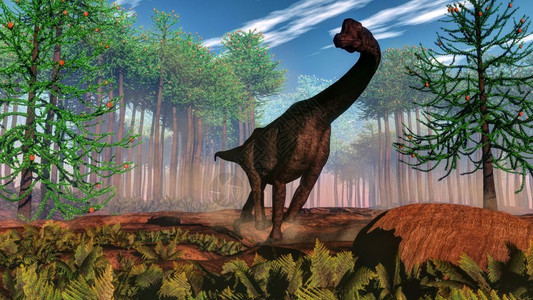 日复一地在阿拉乌卡里亚森林前行走的布拉奇索龙恐3D变成布拉奇奥古萨龙恐脊椎动物爬虫强大的图片