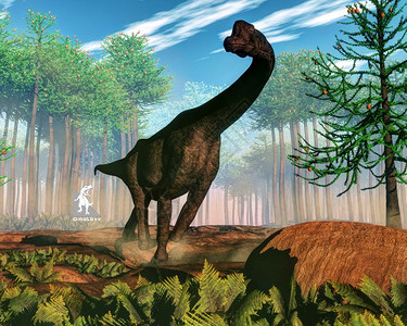 南洋杉生物日复一地在阿拉乌卡里亚森林前行走的布拉奇索龙恐3D变成布拉奇奥古萨龙恐蓝色的图片