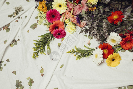 非洲菊不同种类的花朵色多彩鲜留白布织物框架图片