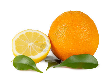 橙子和柠檬三叶绿白底隔离健康树叶水果图片
