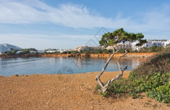 有机的马洛卡天气西班牙巴利阿里群岛伊比萨Ibiza自然岩石和海洋景观图片