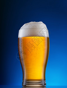 蓝色背景玻璃杯中带有白色泡沫的淡啤酒蓝色背景玻璃中带有白色泡沫的淡啤酒马克杯馆白色的图片