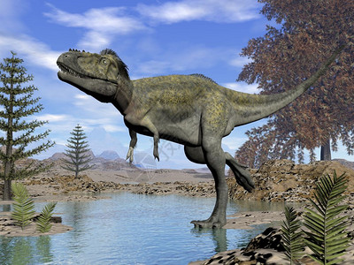 艾丽奥拉马斯恐龙每天走进沙漠的水里3D变成阿丽奥拉穆斯恐龙3D肉食动物步行图片