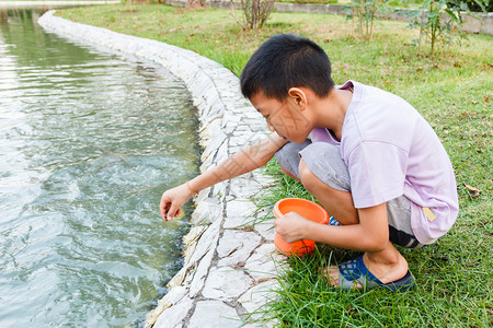 在池塘边喂鱼的泰国男孩图片