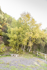 秋天在安道尔的山中爬坡欧洲美丽图片