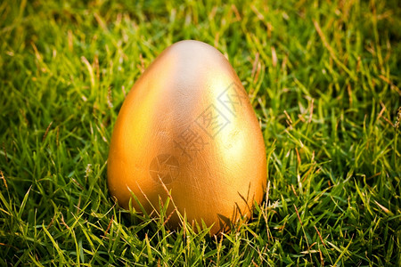 奢华草地上的大金蛋颜色生长图片