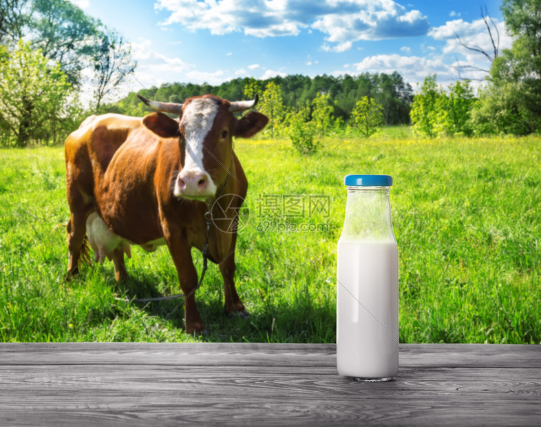 乳制品天然产和健康食的概念在木板上装奶瓶在背景中装棕色奶牛在背景中装有棕色奶牛的木板上装瓶草一种图片