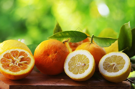 果味绿色背景叶子的柑橘水果生汁图片