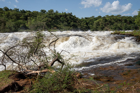 旅行公园天乌干达穆尔奇松瀑布的全景风图片