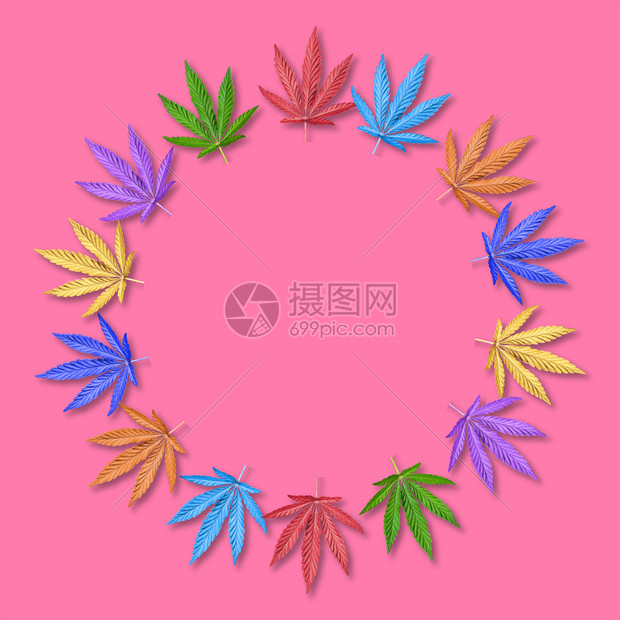 粉红背景的彩虹叶框或圆中的Flatlay叶或的花纹样板上装有彩虹叶框树躺着森林图片