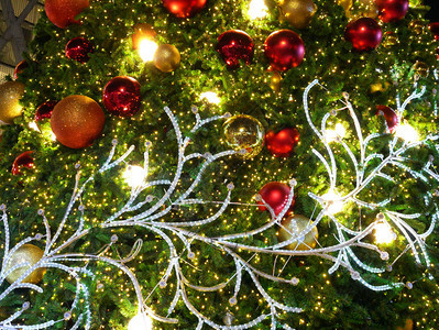圣诞舞会配有松树装饰和灯光背景雪季节十二月图片