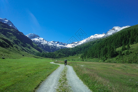 行动山上高的泥土路骑着山车运动员自行图片