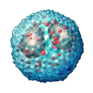 发病与免疫系统和过敏或哮喘病作为解剖概念的3D说明有关骨蛋白血细胞过敏或哮喘病医疗的嗜酸背景图片