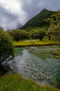 美丽的四川道强县亚丁自然保护区的河流经山林和牧草流向四川道成县云旅行图片