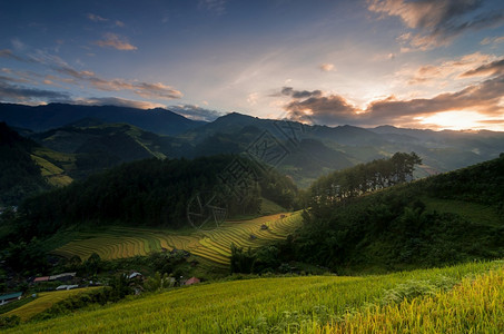 旅行食物越南YenBaiMuCangChai梯田上的稻越南西北部MuChai的稻田准备收割阳台图片