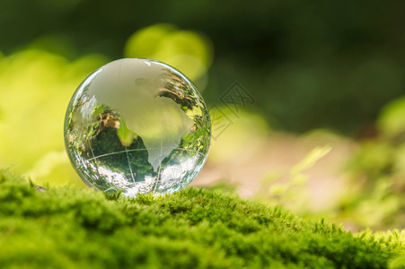 旅行地球水晶玻璃落在有阳光的苔石上自然界中阳光照亮生态环境概念森林新鲜的背景
