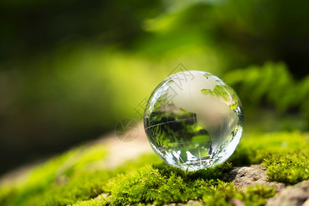 苔藓象征世界以太阳照在自然中被预设的生态环境概念中的苔石为依托恒星地球玻璃图片