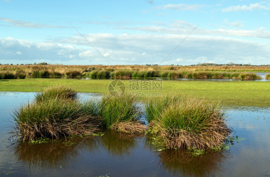 空气荷兰北部村庄附近NieuwkoopsePlassenA自然遗迹附近的湿地自然保留区GreenJonker走道诺登图片