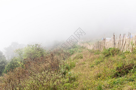 栅栏新鲜的光雾笼罩着点露营地附近的高山旅行背景图片