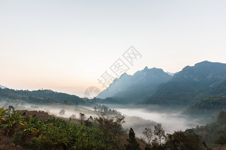 麦森林清道山的雾天一早环境图片