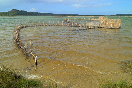 塞里木湖建成海洋水在南非汤加岛KosiBay河口建造的传统Tsonga鱼捕网背景