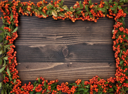 BerryRawan在伍德背景上的橙子瀑布框架秋天背景棕色罗文木头图片