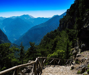 正方形旅行楼下平原的山坡风景背森林图片