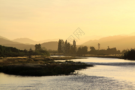 日落在岸边与木林风景自然金的前夕图片