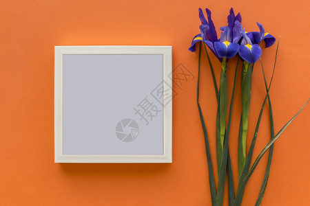 织物框架业务iris紫花黑相框和明亮的橙色背景图片
