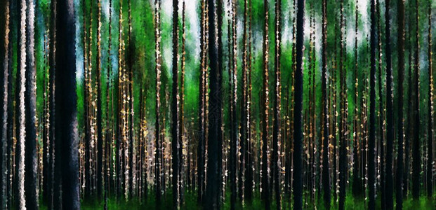 对称的横向活生森林木抽取背景目的天图片