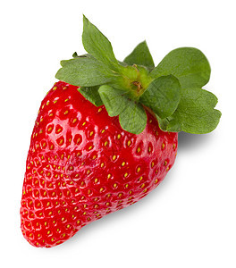 在白色背景上隔离的红莓草完美可口成熟图片
