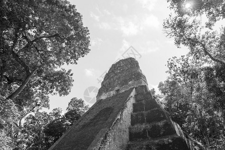 白色的危地马拉有名蒂卡尔公园第5寺庙黑白废墟著名的图片