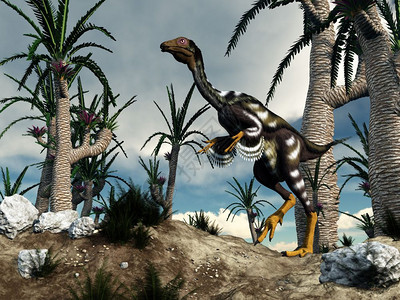 一只恐龙在阴云的日落前行走在威利亚索尼树丛中行走3D使卡迪普特里克斯恐龙变成3D之中步行风景优美背景图片
