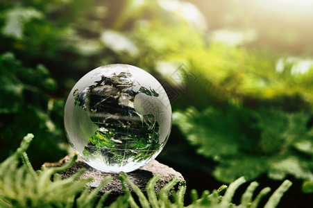 植物环境的天以绿色叶子和阳光的石头为依附于绿叶和阳光的地球晶玻璃自然而来预设的生态环境概念图片